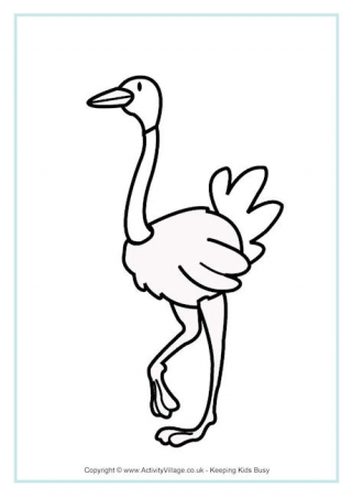 320x452 Ostrich Activities For Kids