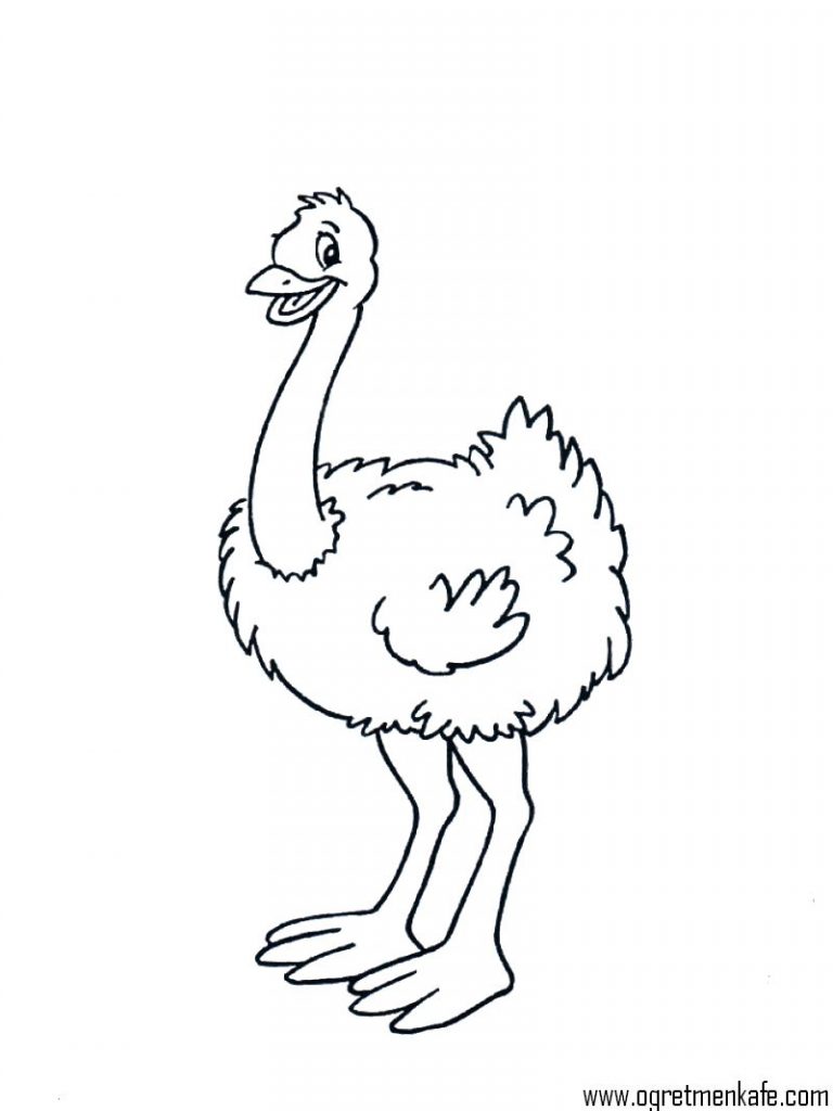 768x1024 Free Animals Ostrich Printable Coloring Pages For Preschool