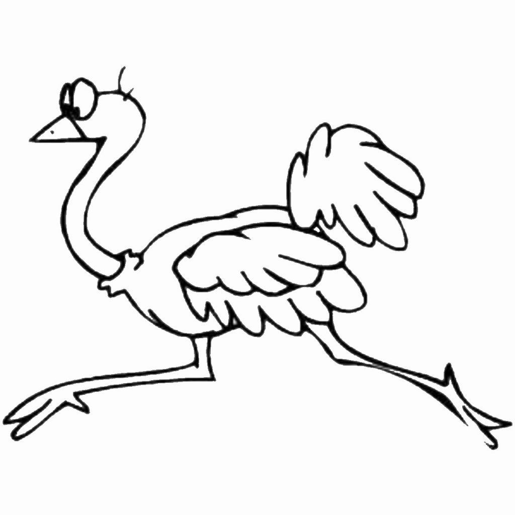 1024x1024 Free Animals Ostrich Printable Coloring Pages For Preschool