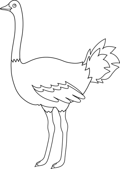 392x550 Colorable Ostrich Design