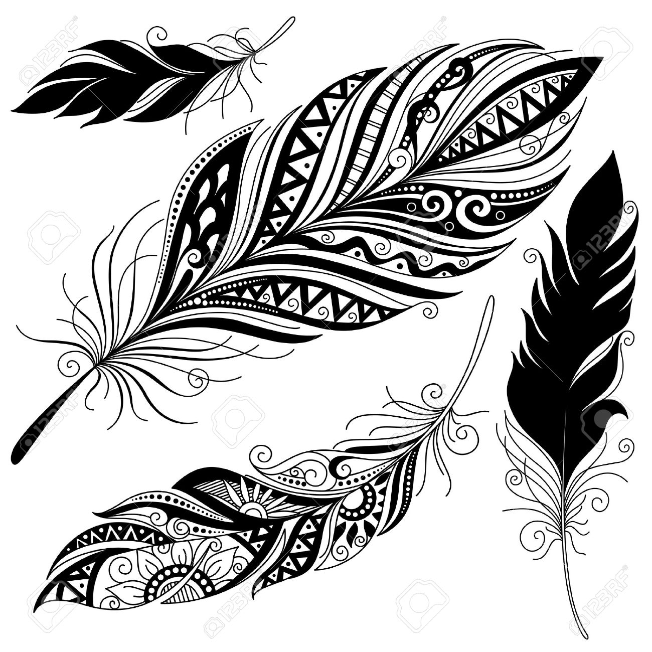 1300x1300 159,378 Feather Cliparts, Stock Vector And Royalty Free Feather