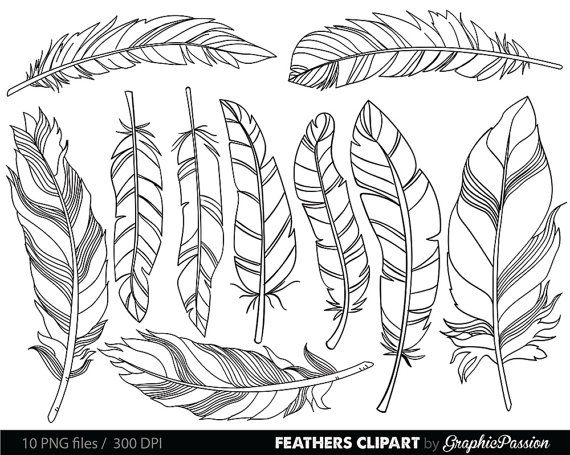 570x455 20 Best Piume Disegni Images On Drawings Of Feather