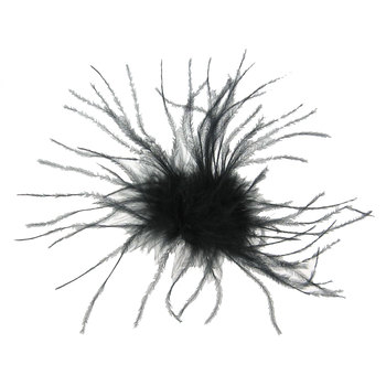 350x350 Black Ostrich Feather Clip Hobby Lobby 24199