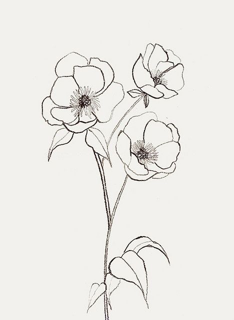 468x640 Awomaninscience Flower Sketches, Woman And Sketches