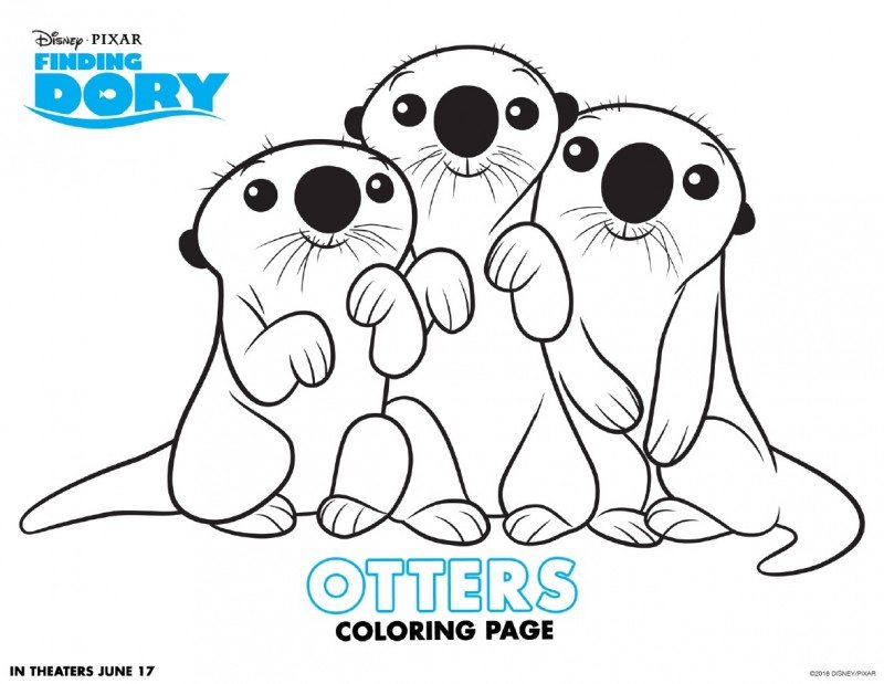 800x619 Lovely Otter Coloring Pages 43 On Image With Otter Coloring Pages