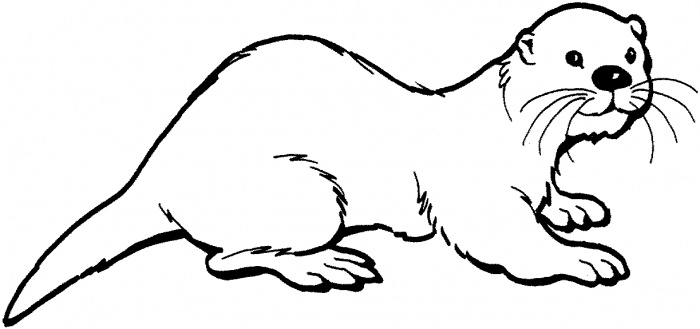 700x329 Otter! This Website Has All Kinds Of Awesome Coloring Pages