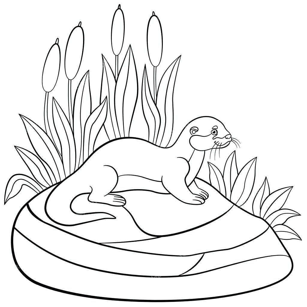 1024x1024 Coloring Sea Otter Coloring Pages