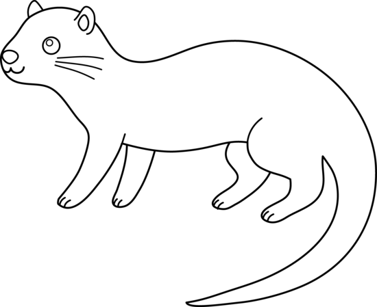 550x449 Colorable Otter Design