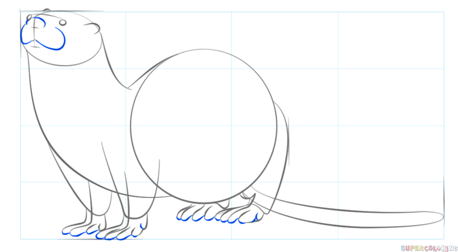 900x495 How To Draw A River Otter Step By Step Drawing Tutorials