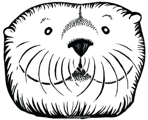 475x385 Sea Otter Coloring Pages Otter Coloring Pages Gallery Of Seal