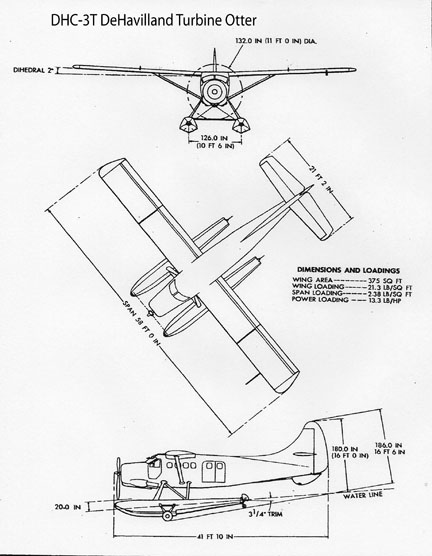 432x556 Vazar Turbine Otter Drawing
