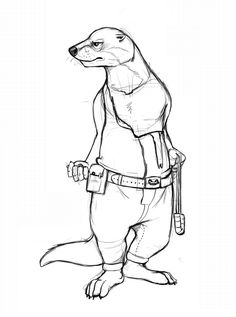 236x317 Don'T Go Chasing The Daily Otter Hoots And Otterrs