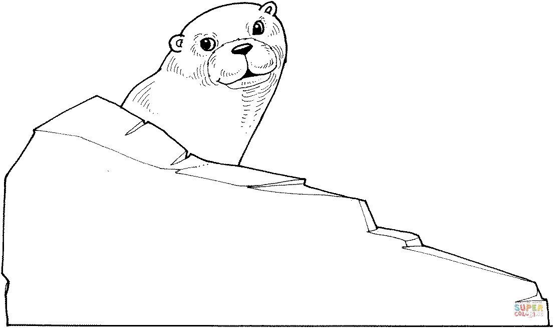 1106x654 Otter Behind A Rock Coloring Page Free Printable Coloring Pages