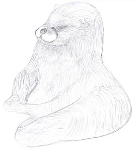 268x300 Otter Drawings