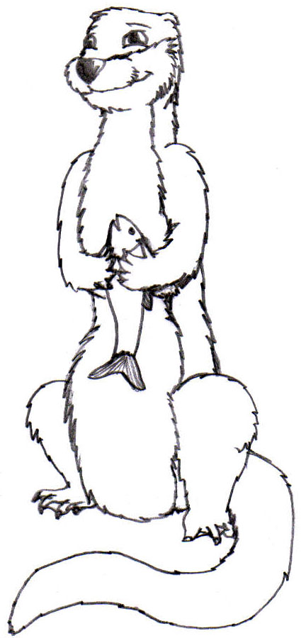 425x900 Otter Sketch By Dcleadboot