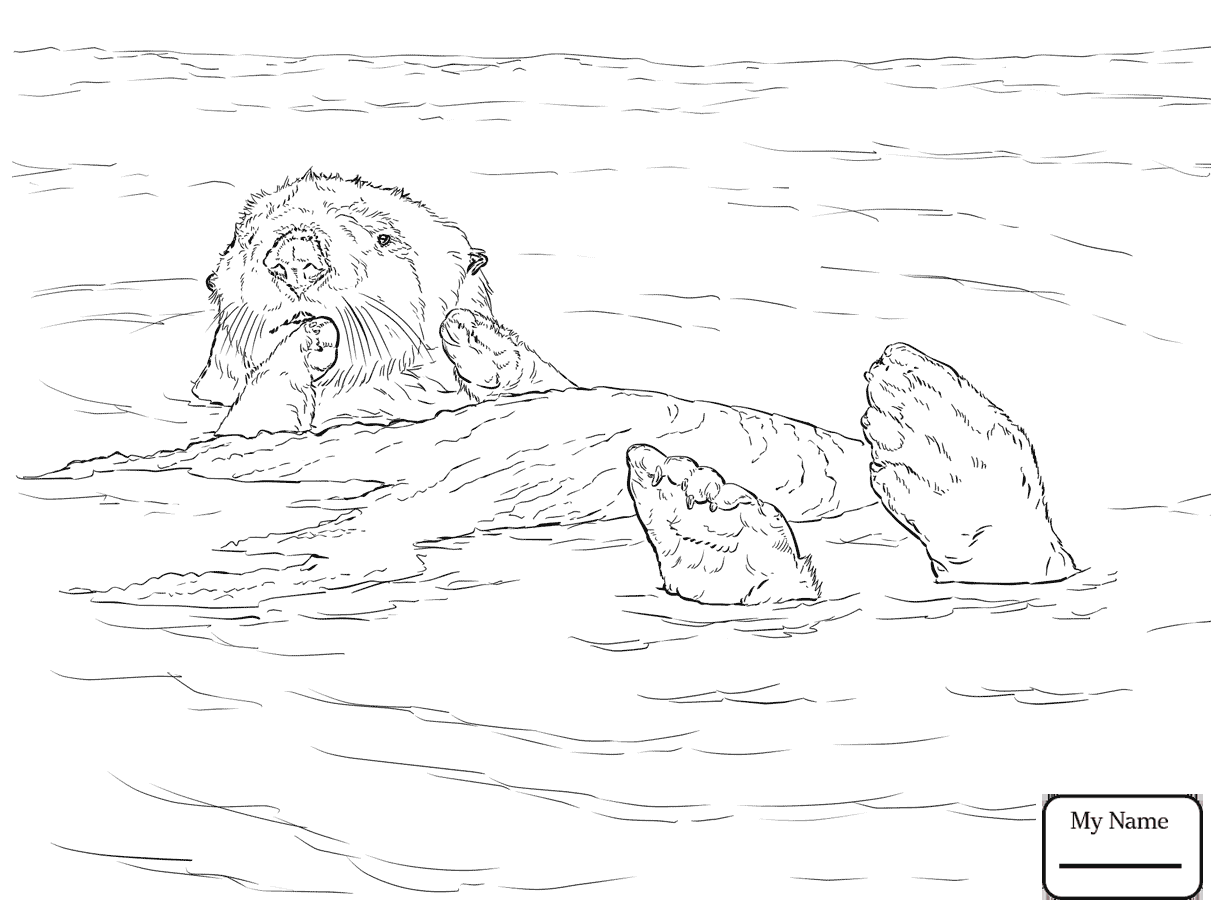 1223x917 Otters Otter Outline Mammals Coloring Pages For Kids