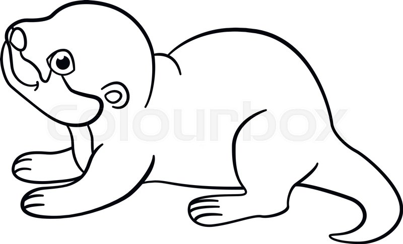 800x485 Coloring Pages. Little Cute Baby Otter Stands And Smiles. Stock