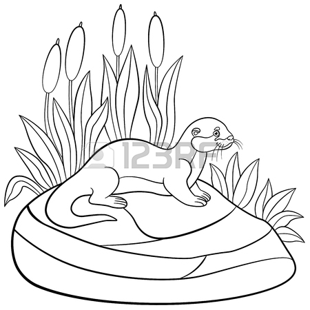 450x450 257 Sea Otter Stock Vector Illustration And Royalty Free Sea Otter