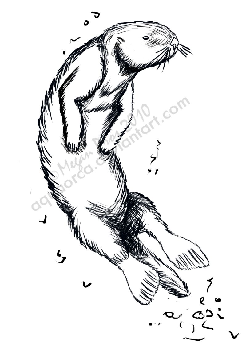 800x1120 Otter Tattoo Cute! Board Otter Tattoo, Tattoo