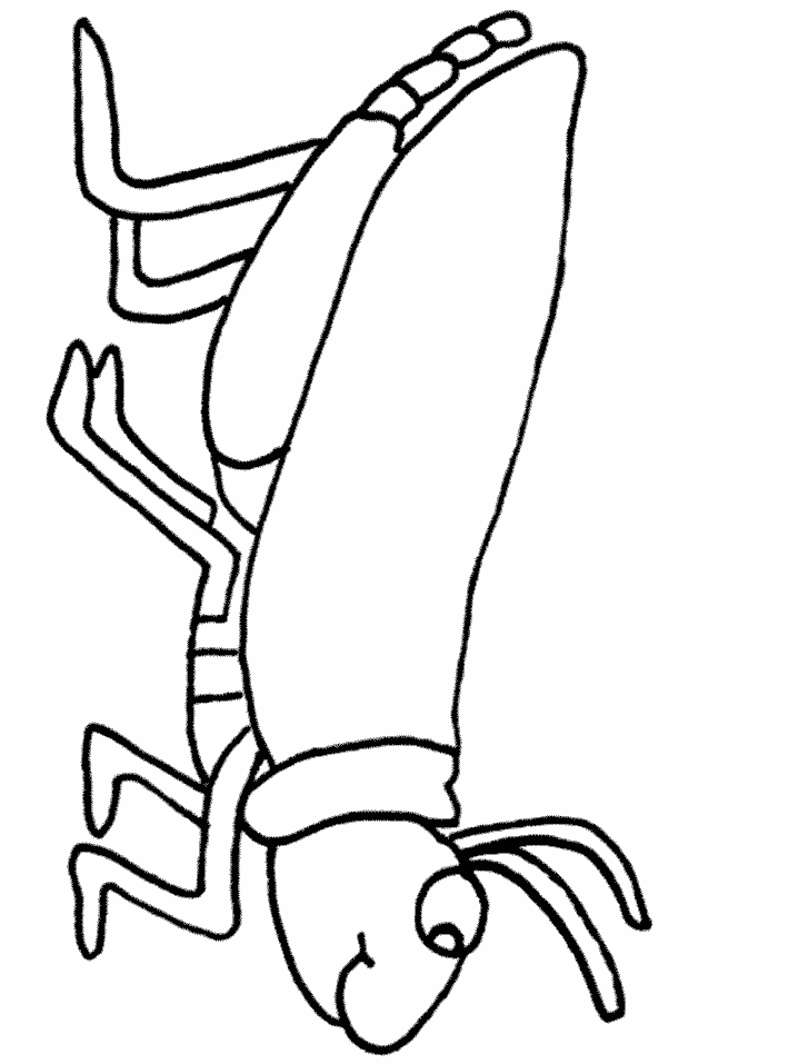 718x957 Insect Clipart Outline Drawing