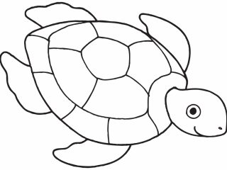 320x240 Outline Drawing For Kids Simple Turtle Drawing Turtle Outline
