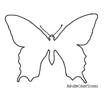 360x305 Butterfly Outline Or Silhouette Basic Butterfly Shapes