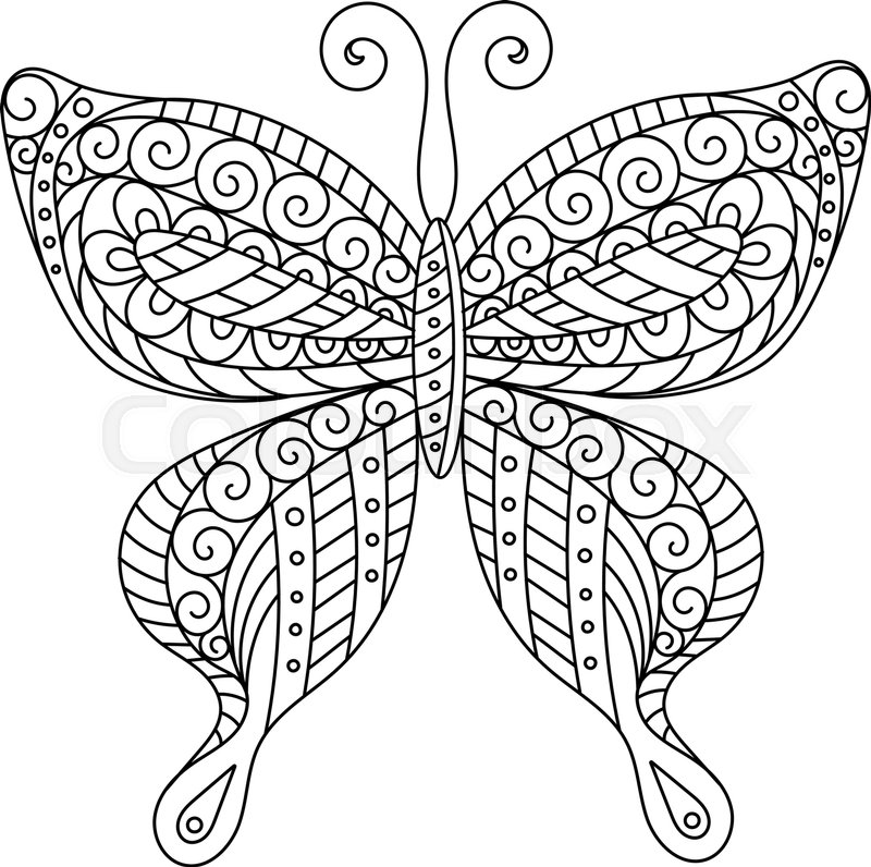 800x796 Coloring Book For Adult And Older Children. Coloring Page. Outline