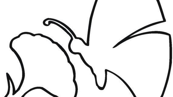 570x320 Outline Drawing Of Flowers Butterfly The Flower Outline Coloring