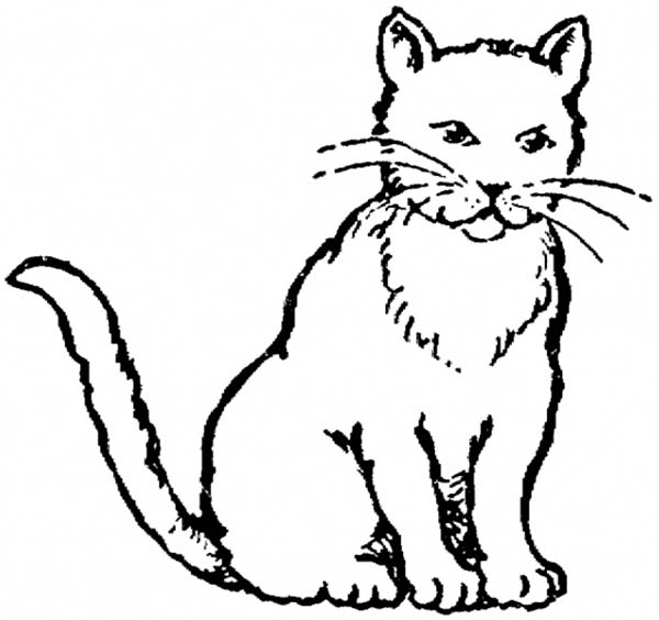 600x564 Realistic Drawing Of Kitty Cat Coloring Page 30966