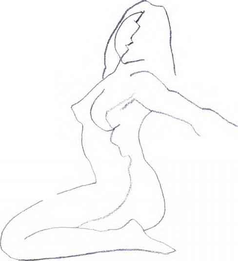 488x536 Descriptive Contours