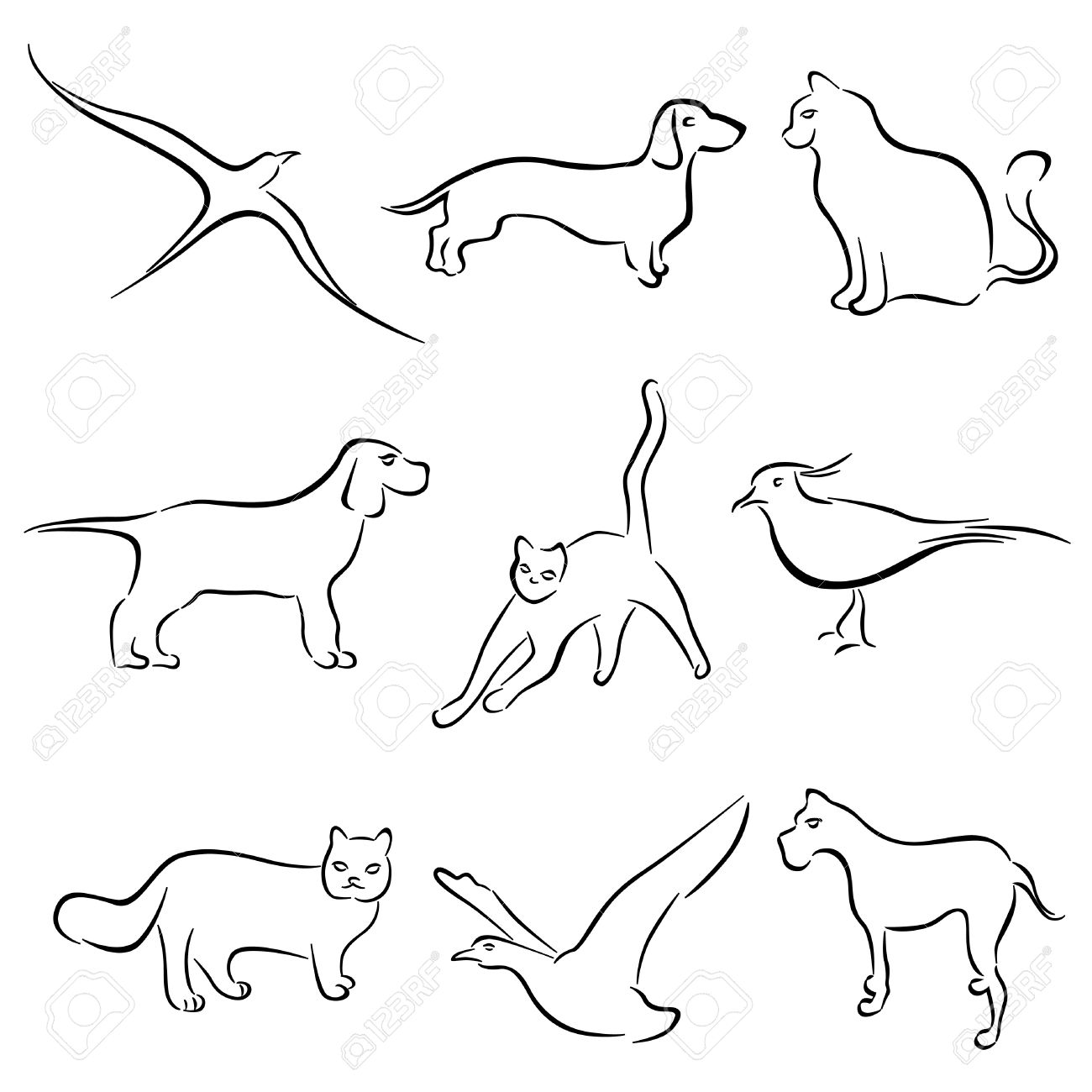 1300x1300 Dog, Cat, Rabbit Animal Drawing Vector Royalty Free Cliparts