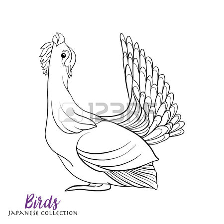450x450 Japanese Birds. Stock Line Vector Illustration. Coloring Book