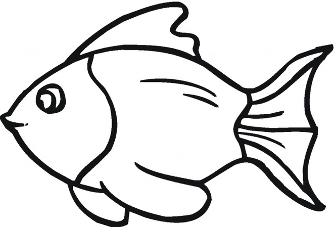 665x449 Outline Of Fish