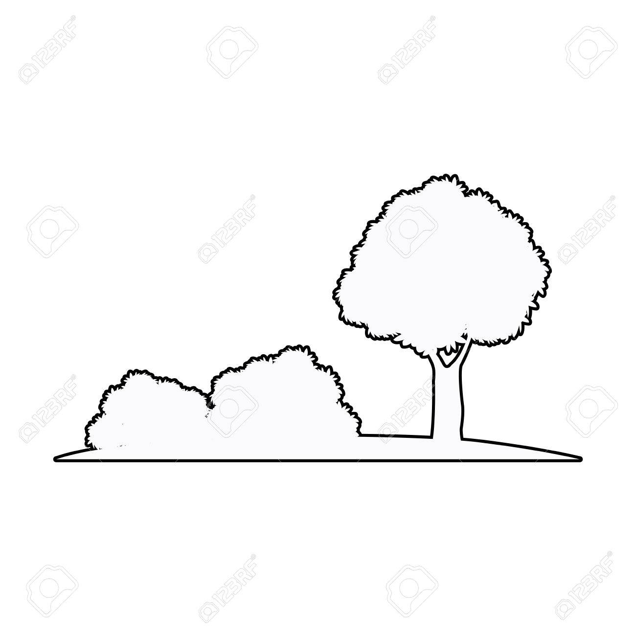 1300x1300 Tree And Bush Nature Plant Ecology Outline Vector Illustration