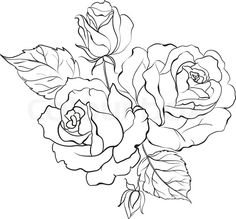 236x219 Simple Rose Outline Drawing