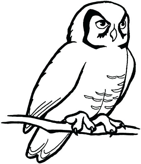 Outline Drawing Of Owl at GetDrawings | Free download