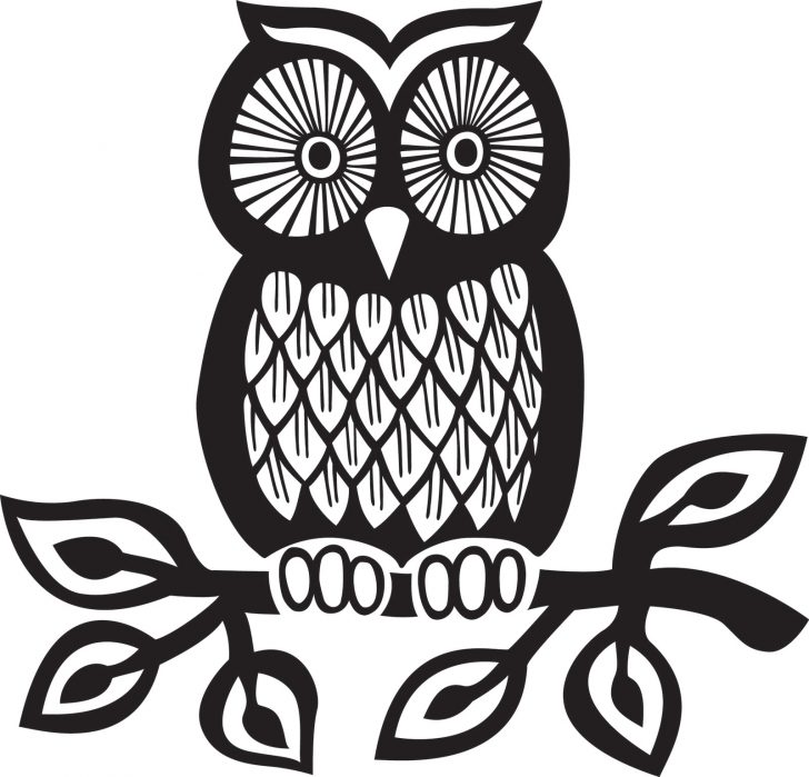 728x699 Vector Illustration Of Cartoon Owl Head Outline Royalty Stock