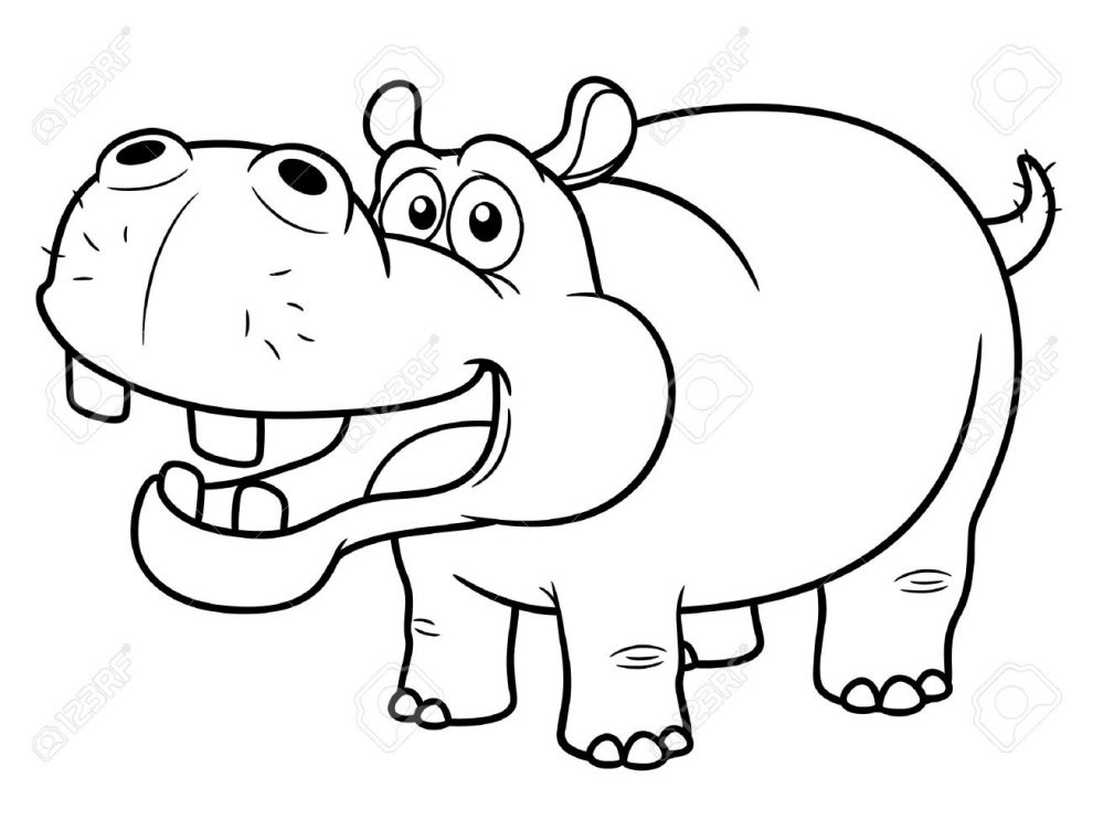 990x743 Sheets Hippo Outline Drawing 93 With Additional Coloring Pages