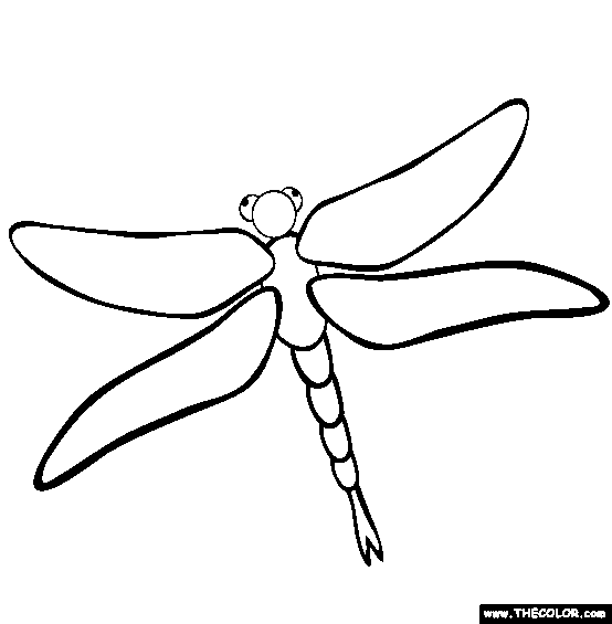 554x565 Nature Outlines To Print Dragonfly Coloring Page Free