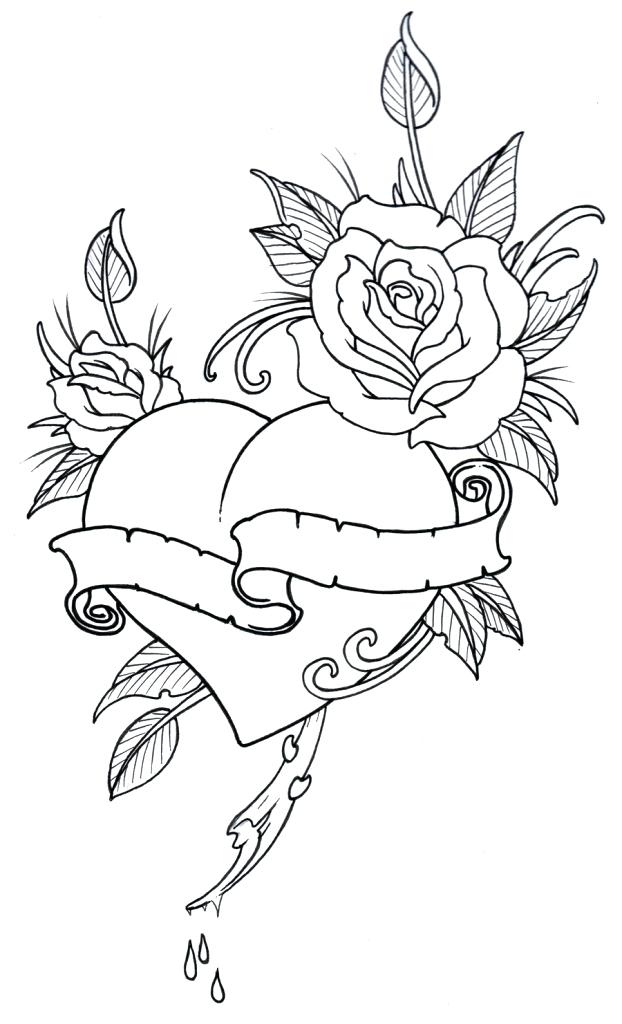 Outline Drawing Online at GetDrawings | Free download