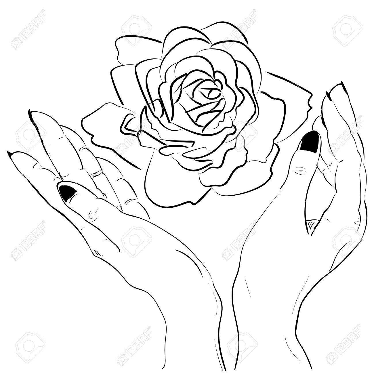 1300x1300 Hands Holding A Rose Flower Isolated Outline Hand Drawn Sketch