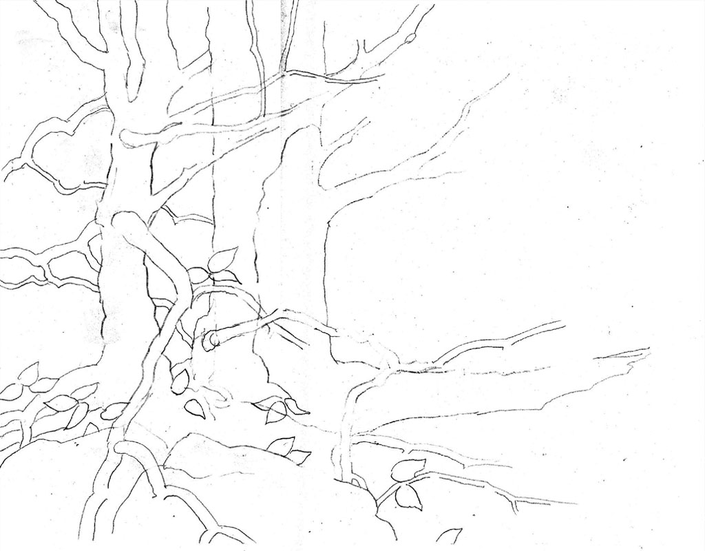1024x800 Tree Outline Drawing From Artist Phil Metzger