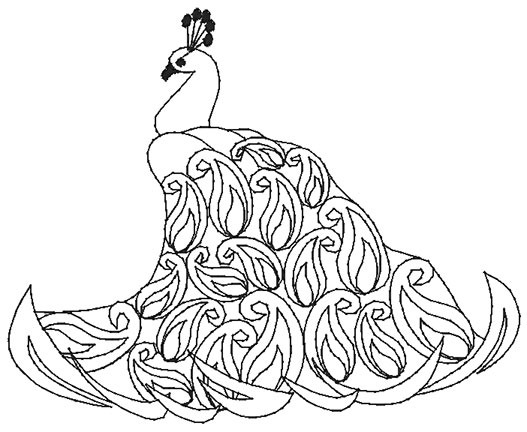 527x432 Peacock Drawing Outline