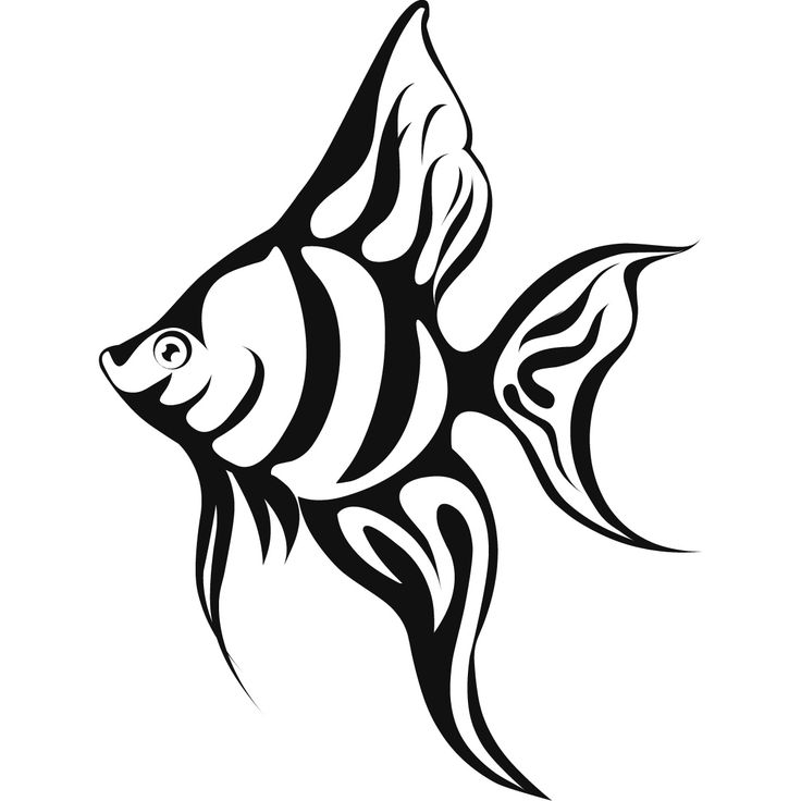 736x736 Drawn Sea Tropical Fish