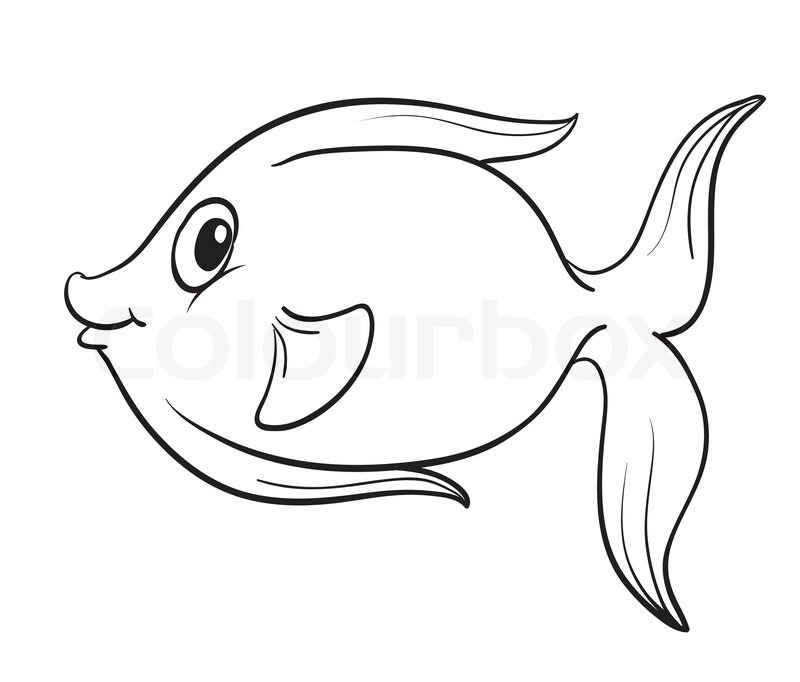 800x682 Fish Outline Stock Vector Colourbox