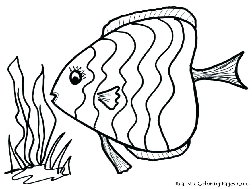 878x659 Realistic Fish Coloring Pages Fish Color Pages Packed