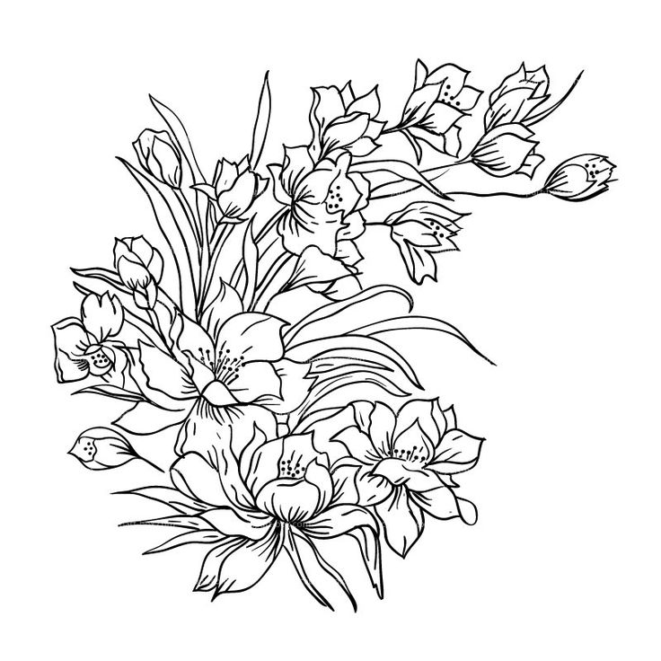 Outline Of Flowers For Drawing at GetDrawings | Free download