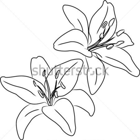 450x450 Pin By Anna Pavlova On Anatomy