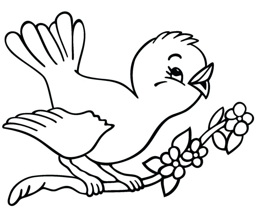 863x716 Bird Outline Outlines Birds Pictures Drawing Flying Outlines