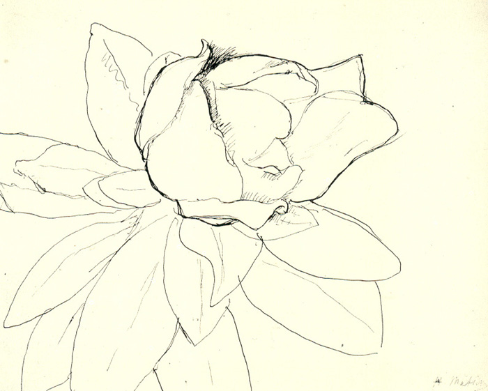 700x561 Matisse And Contour Drawing